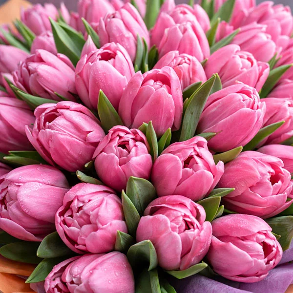 Розовое сафари - шляпная коробка с тюльпанами