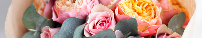 Свежие розы в Кашира от Гранд Флора с доставкой